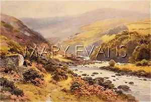 Dartmeet: DARTMOOR/DARTMEET 1910