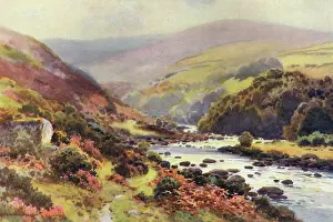 Dartmoor: DARTMOOR - DARTMEET