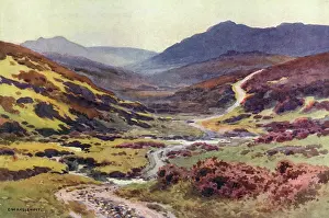 Dartmoor: DARTMOOR - DEVILS BRIDGE