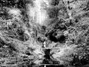 Lydford: Dartmoor, the Gorge, Lydford c1955