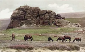 Dartmoor: DARTMOOR/HAYTOR 1920S