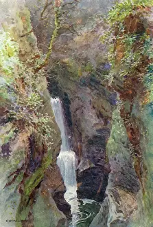 Dartmoor: DARTMOOR - LYDFORD GORGE
