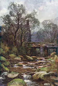 Dartmoor: DARTMOOR - OCKERY BRIDGE