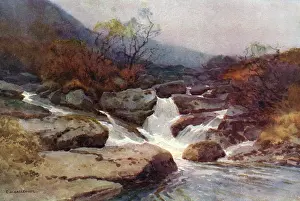 Dartmoor: DARTMOOR STREAM