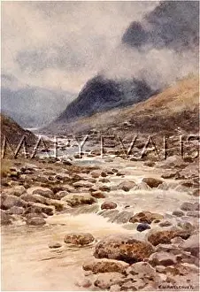 Tavy: DARTMOOR/TAVY CLEAVE