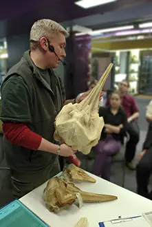 Internet: Darwin Centre Live Presentation