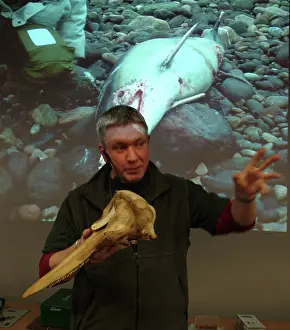 Internet: Darwin Centre Live Presentation