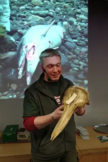 Internet: Darwin Centre Live Presentation
