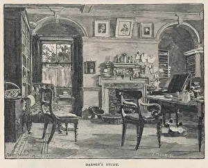 Alcove: DARWIN/DOWNE/STUDY