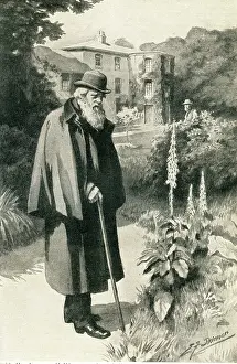 Darwin: Darwin in his garden