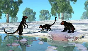 Simian: Darwinius animals playing along a river