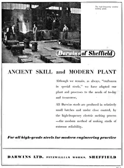 Darwins: Darwins Steels