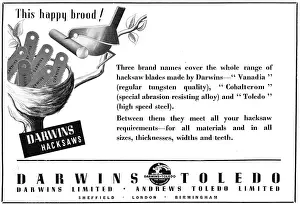 Hacksaw: Darwins Toledo Cutting Tools Hacksaw