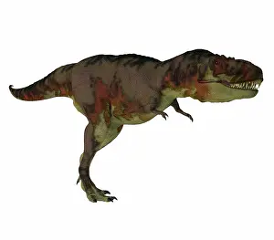 Genus: Daspletosaurus dinosaur hunting, side view on