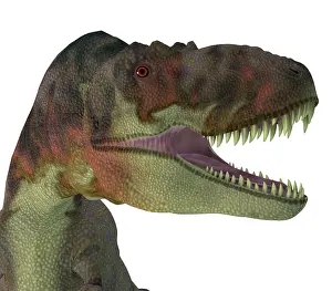 Menacing: Daspletosaurus dinosaur portrait, close-up