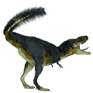 Torosus: Daspletosaurus dinosaur, side profile