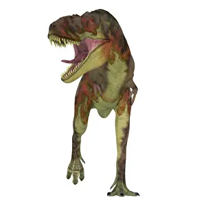 Menacing: Daspletosaurus dinosaur, front view
