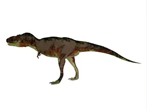 Torosus: Daspletosaurus dinosaur, side view on white background