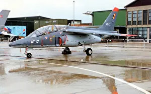Alpha: Dassault/Dornier Alpha Jet 1B AT17