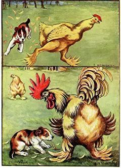 Poultry: The Daughter, Retribution Puppy chasing Chicken