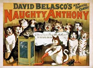 Farcical: David Belasco's new farcical comedy, Naughty Anthony