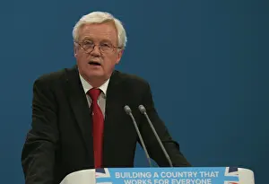 Allstar Picture Library Ltd.: David Davis MP