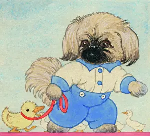 Peke: David has a duck