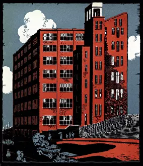 Surry: David Jones Ltd Advertisement
