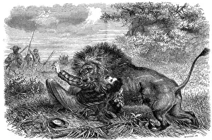 David Livingstone