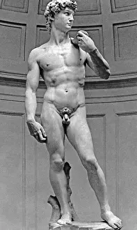 Michelangelo: David by Michelangelo