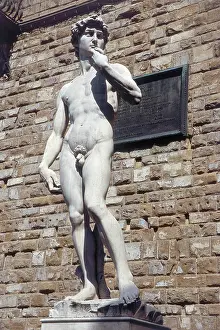 Signoria: David by Michelangelo in Florence