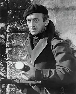 Navarone: David Niven - Actor - Celebrity