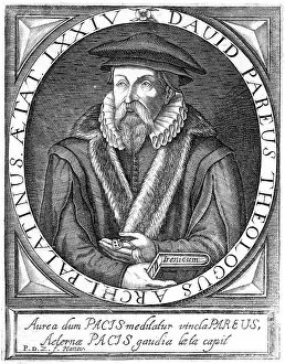 Calvinist: DAVID PAREUS