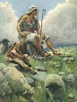 Tends: David Tends Flock