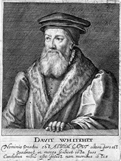1571: DAVID WHITEHEAD