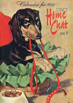 Giveaway: David Wright Home Chat calendar 1950 featuring dachshund