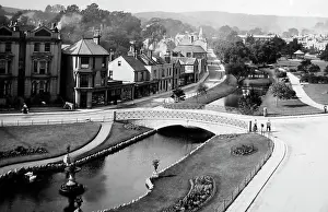 Dawlish: Dawlish devon
