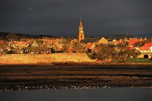 Berwick: Dawn rays of winter sun on town hall clock tower, Berwick