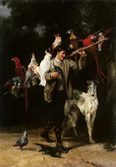 Cockatoo: Day out with the Boarders