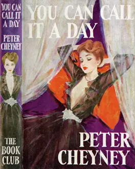 Diaphanous: You can call it a Day - cover by David Wright