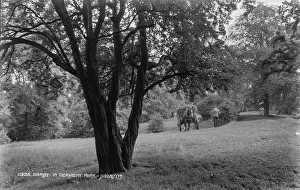 Derwent: A Day in Derwent Park