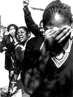 Naledi: The Day Our Kids Lost Faith