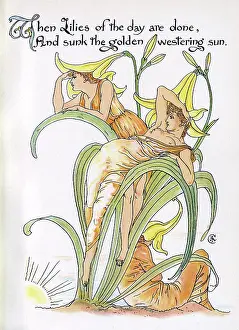 Spec: Day Lily