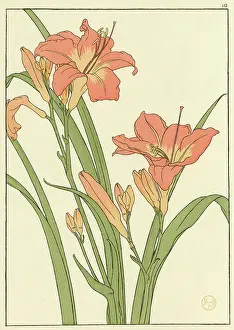 Pochoir: Daylily