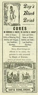 Cures: Day's Black Drink - Cures for animals