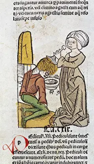 Hortus: De-lousing illustration