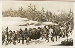 Trumpeters: TWO DEAD BEARS