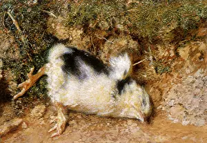 Claws: Dead Bird