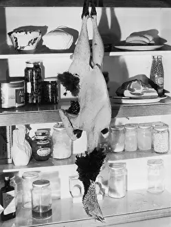 Pantry: DEAD CHRISTMAS TURKEY