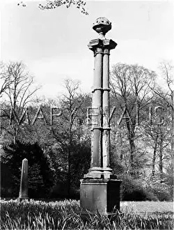 Bramham: DEAD DOG MEMORIAL